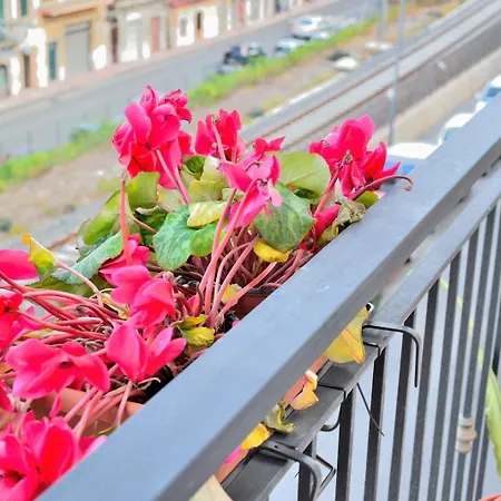 Bed & Breakfast Al Sole Di Sicilia